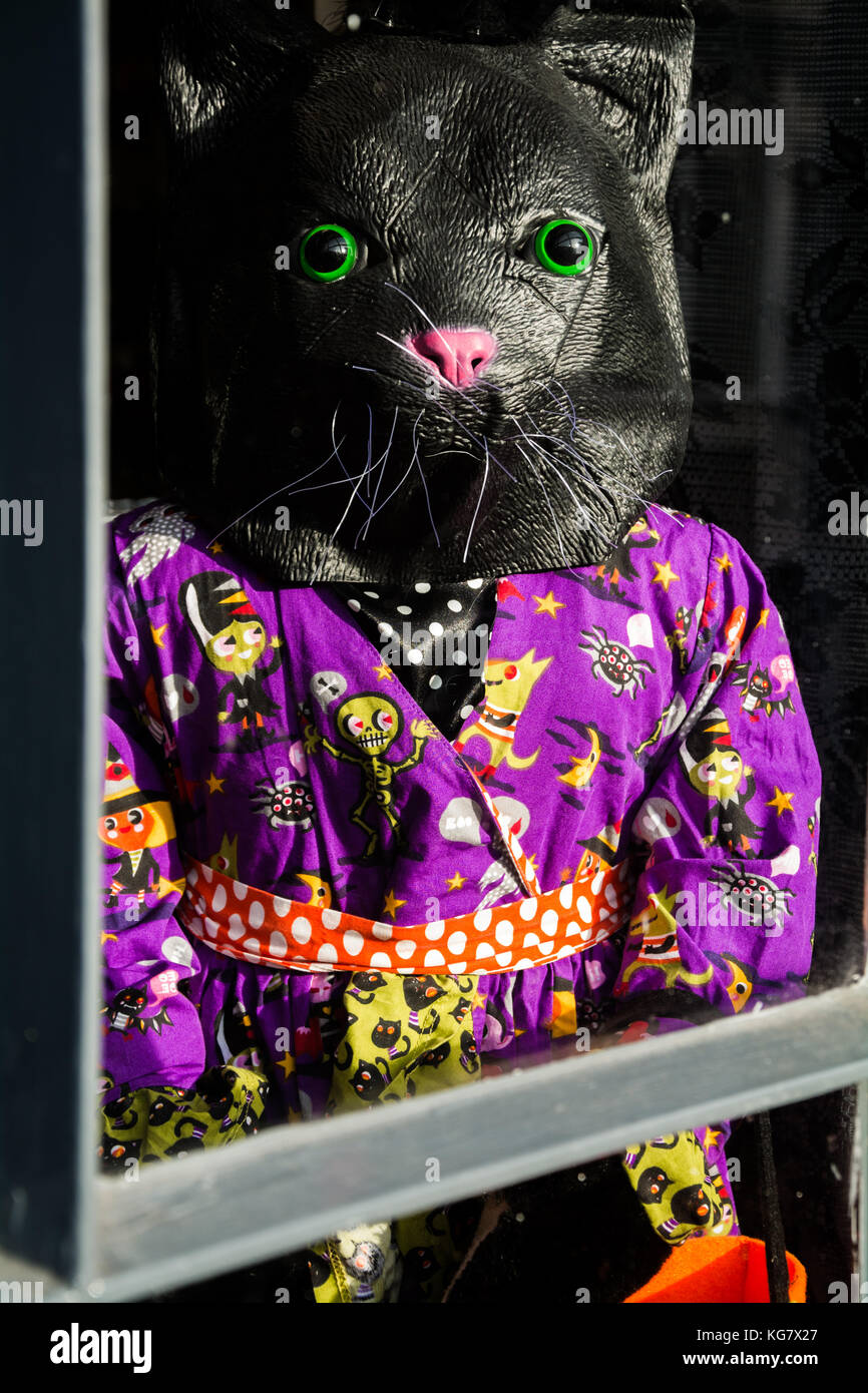 Un modèle de spooky un chat noir portant sur le thème de Halloween costume. Partie d'une fenêtre halloween affichage à Catherine's Bakery, Much Wenlock, Shropshire, Angleterre Banque D'Images
