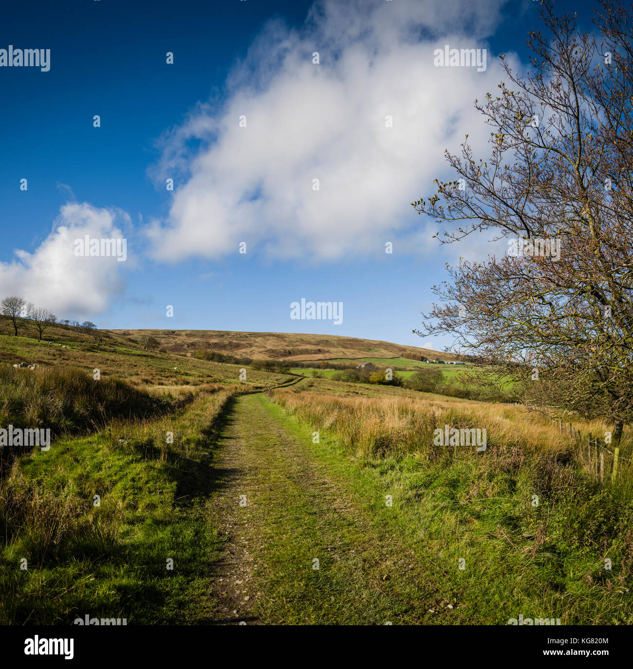 Balade à vélo autour du réservoir de stocks, The Plough, Lancashire, Royaume-Uni. Banque D'Images