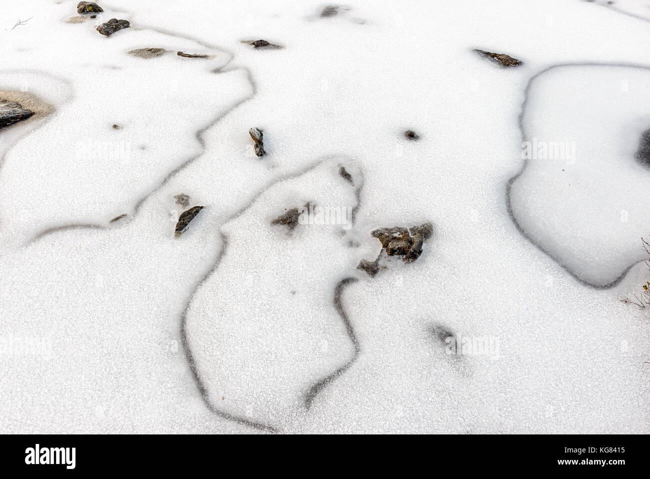 Close-up de surface de l'eau congelée. Photo est prise sur une randonnée de Kroken à Blåkollkoia (cabine pour randonneurs). Krokelvdalen/Skjelnan, Tromsø, Norvège. Banque D'Images
