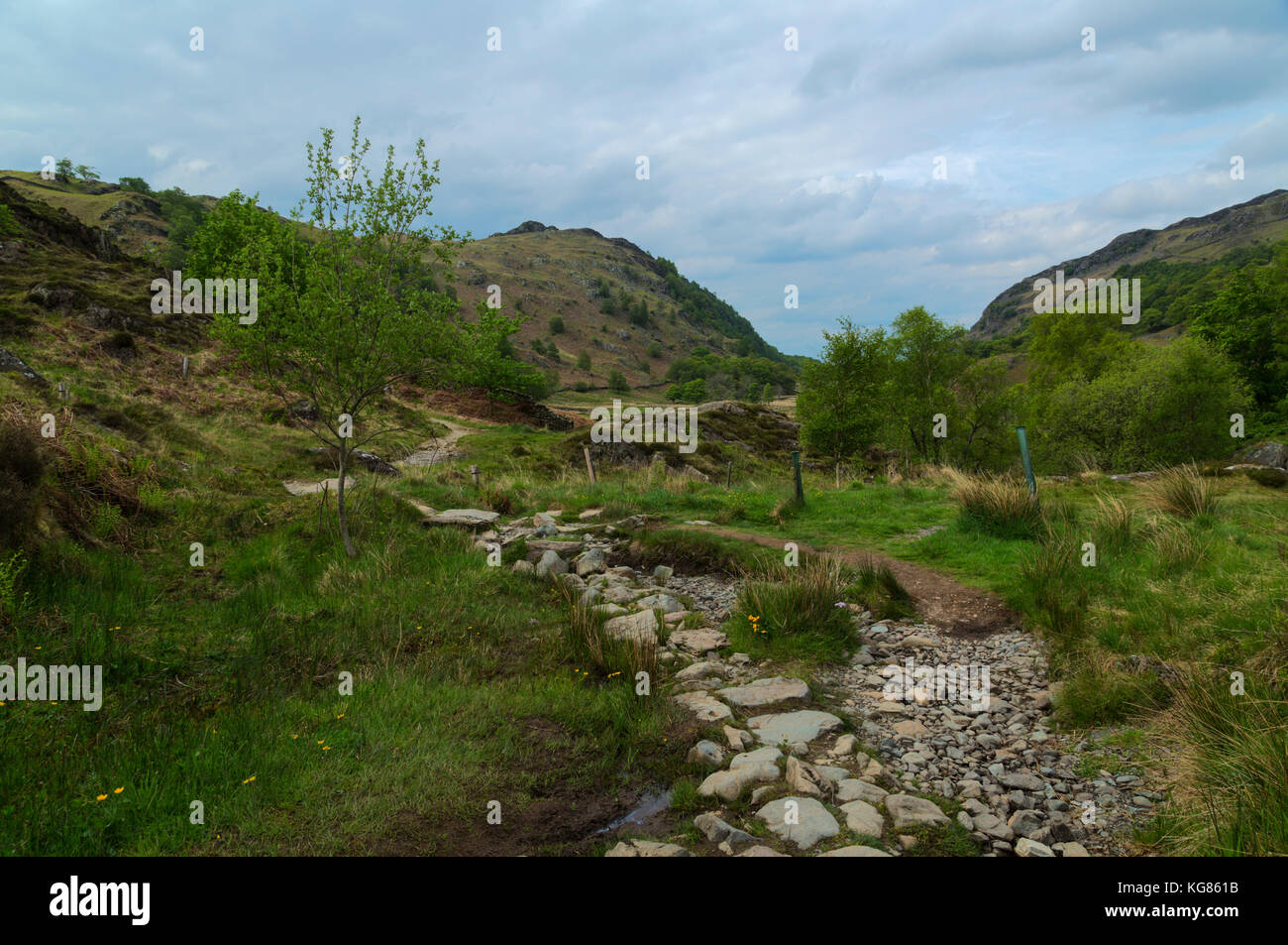 Scène rurale à l'ashness watendlath près de pont dans le lake district Banque D'Images