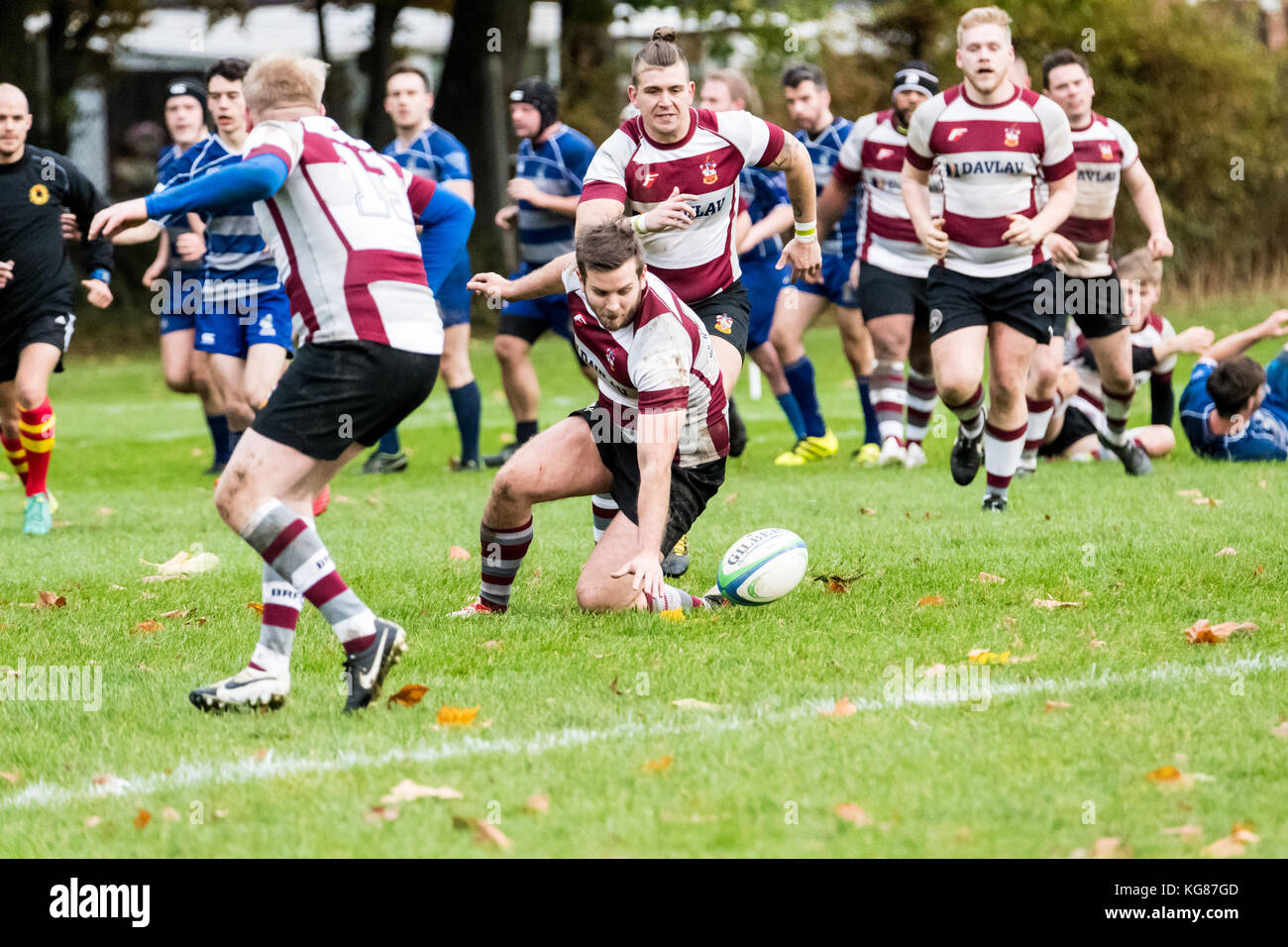 Brentwood, Essex, Royaume-Uni. 4 novembre, 2017. iii) 144 brentwood (équipe vs kings cross steelers ii (0)i qui sont un club de rugby pour les gays et les hommes hétérosexuels basée à Londres est le plus haut score est signalée par les deux club s crédit : Ian Davidson/Alamy live news Banque D'Images