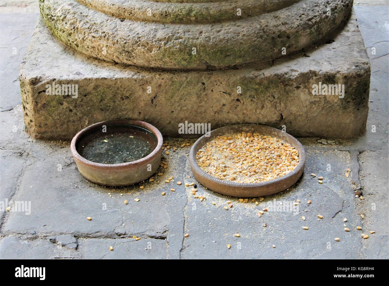 Des plats d'argile, sous une colonne en béton, avec de l'eau et des graines pour nourrir les oiseaux, Havanah, Cuba. Banque D'Images