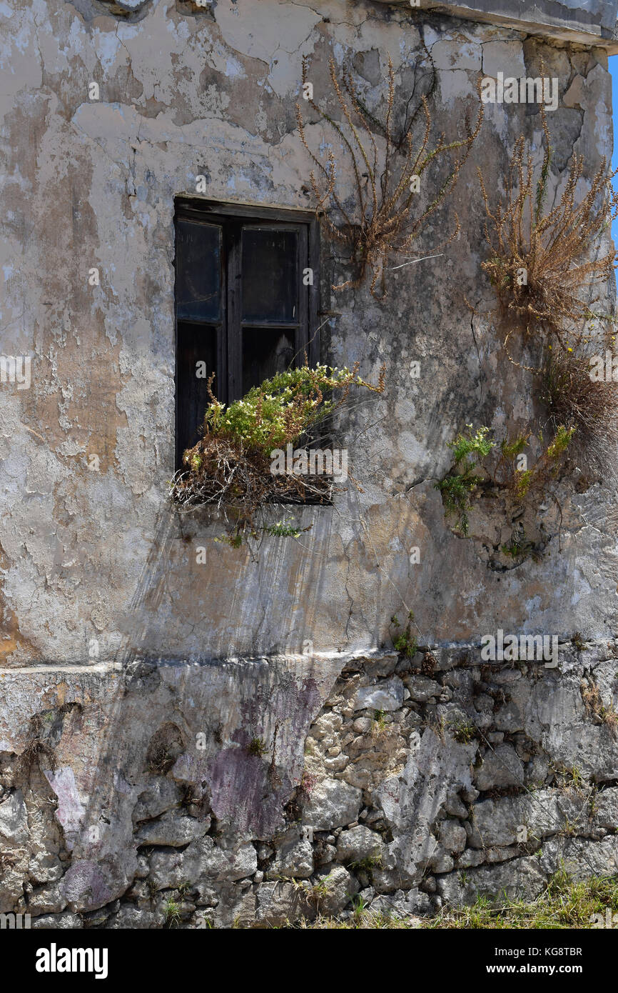 Fenêtre d'une vieille maison abandonnée dans le village de Svoronata, Céphalonie, Grèce Banque D'Images