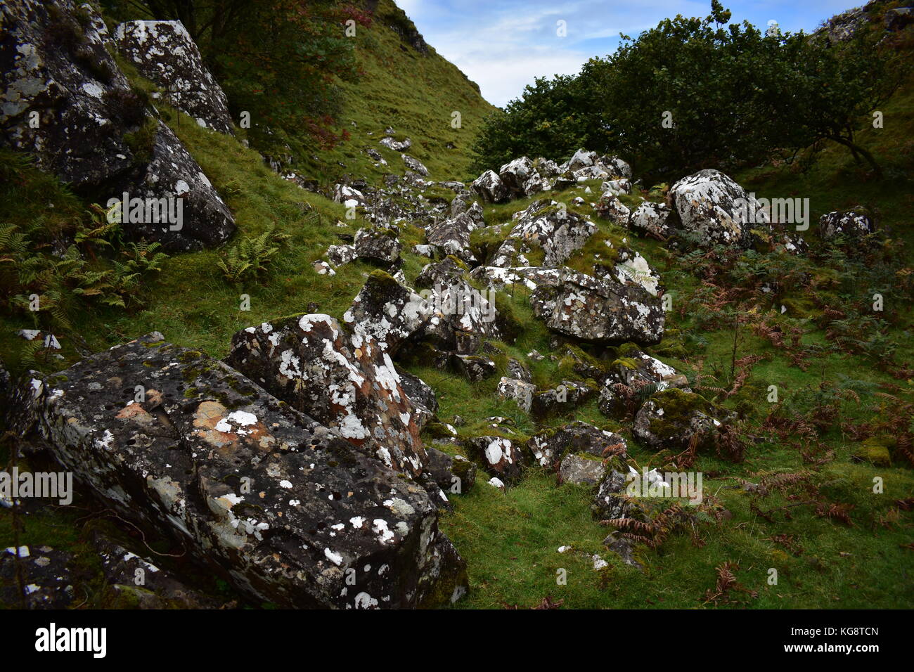 Les roches moussues à Fairy Glen sur l'île de Skye en Ecosse Banque D'Images