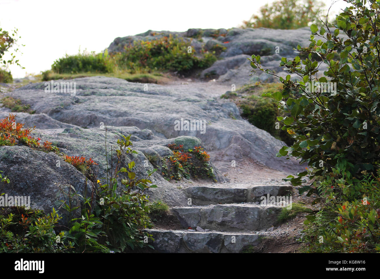 Trois marches de pierre sur une montée sur le sentier de randonnée, lady's Lookout trail, Signal Hill, st. john's, Terre-Neuve et Labrador. Banque D'Images