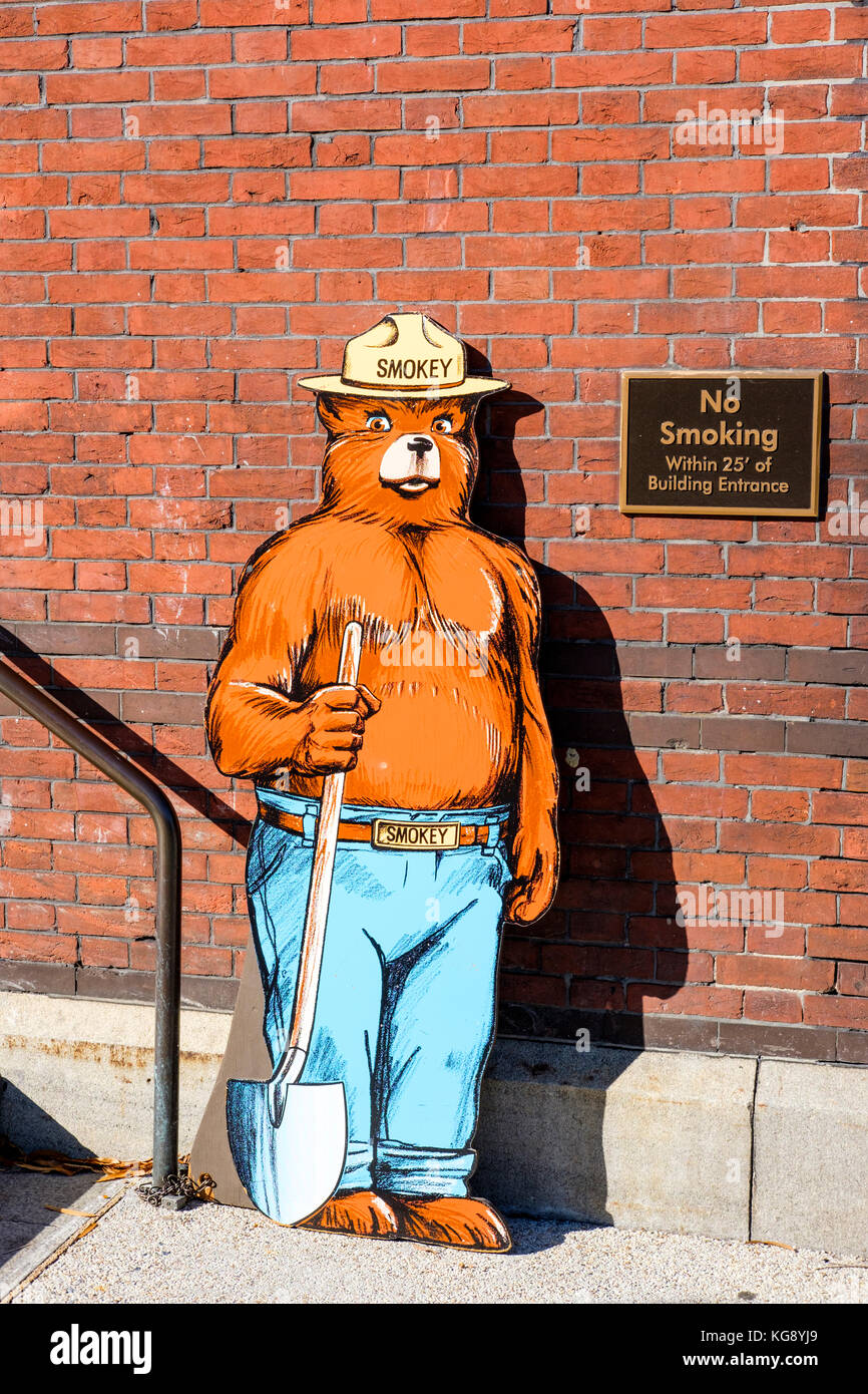 L'ours Smokey mascot illustration sur l'avant de l'US Forest Service building à Washington, DC, United States of America, USA. Banque D'Images