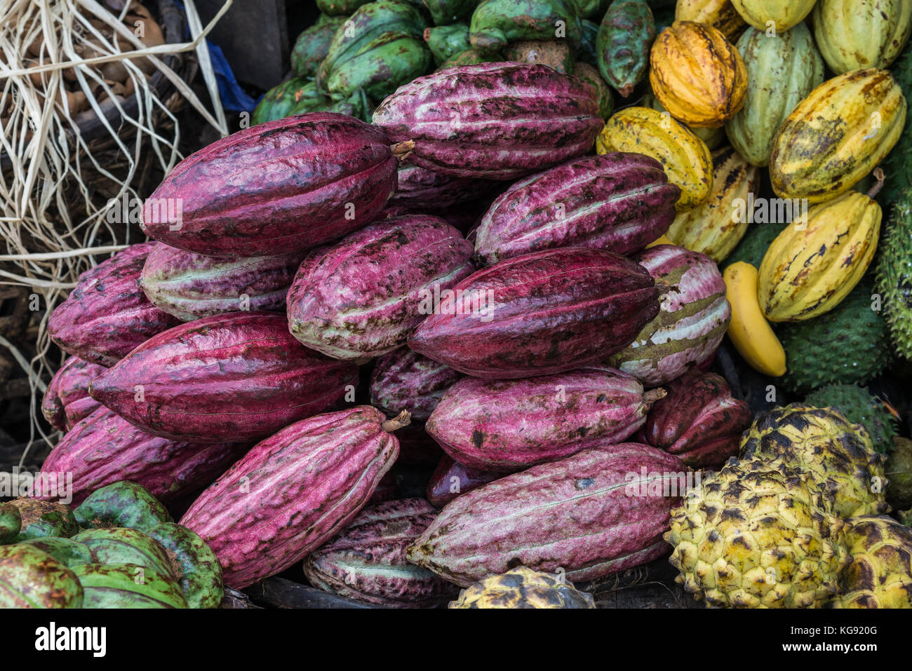 Fruits de cacao violette en marché. Madagascar, Afrique. Banque D'Images