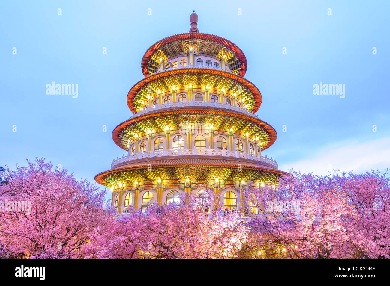 Tien-yuan temple avec cherry blossom à Taipei Banque D'Images