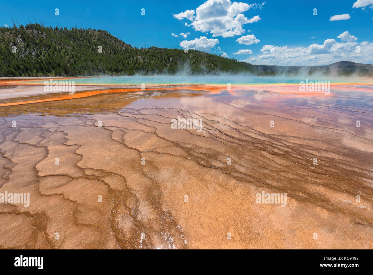 Grand Prismatic Spring in Yellowstone National Park Banque D'Images