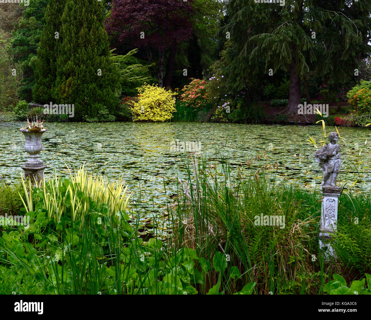 Altamont Gardens, couronne nord, lac, étang, eau, Carlow, jardin, garden trail, Carlow, sentier jardin floral RM Banque D'Images