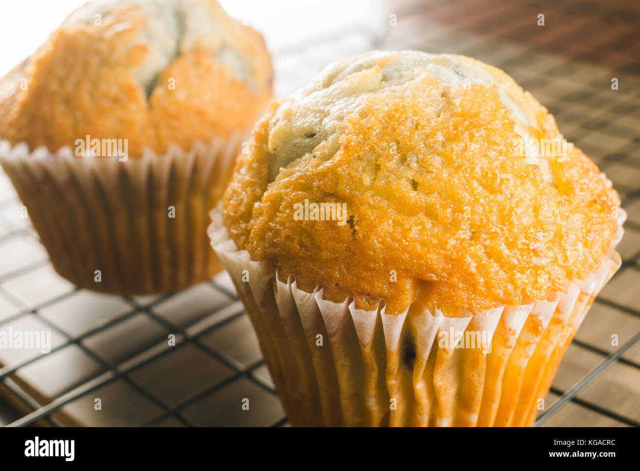 Muffins aux bleuets de l'arrière-plan ; fond de pâte ; Banque D'Images