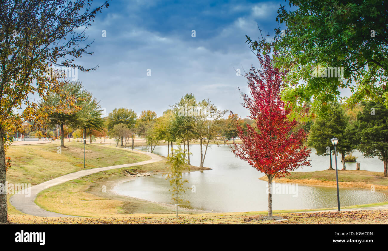Paysage d'automne au parc ; la modification de feuillage Banque D'Images
