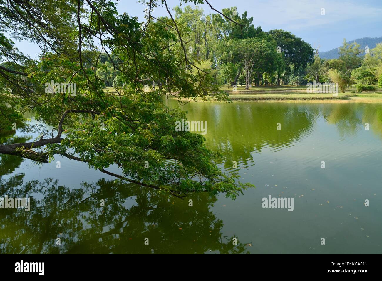 La vue sur le jardin, le lac taiping perak Banque D'Images