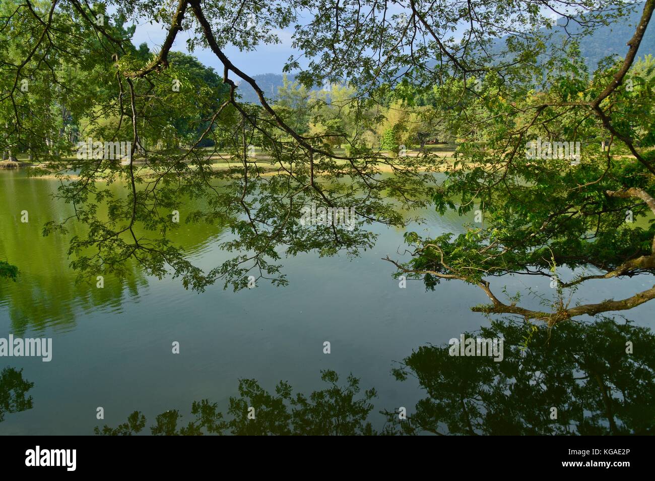 La vue sur le jardin, le lac taiping perak Banque D'Images