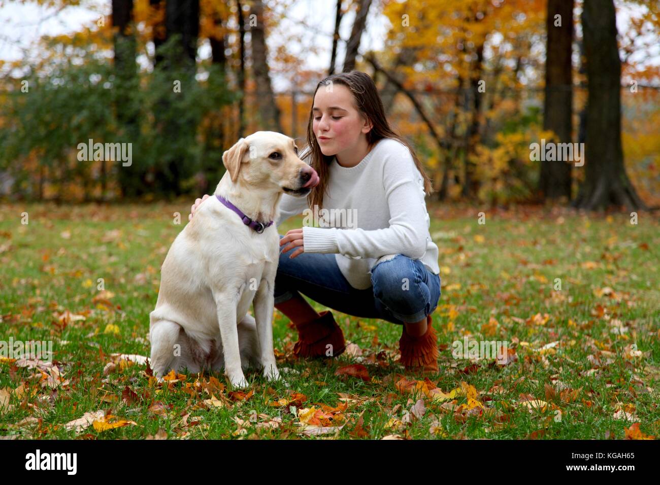 Jeune fille essayant d'embrasser son chien labrador Banque D'Images