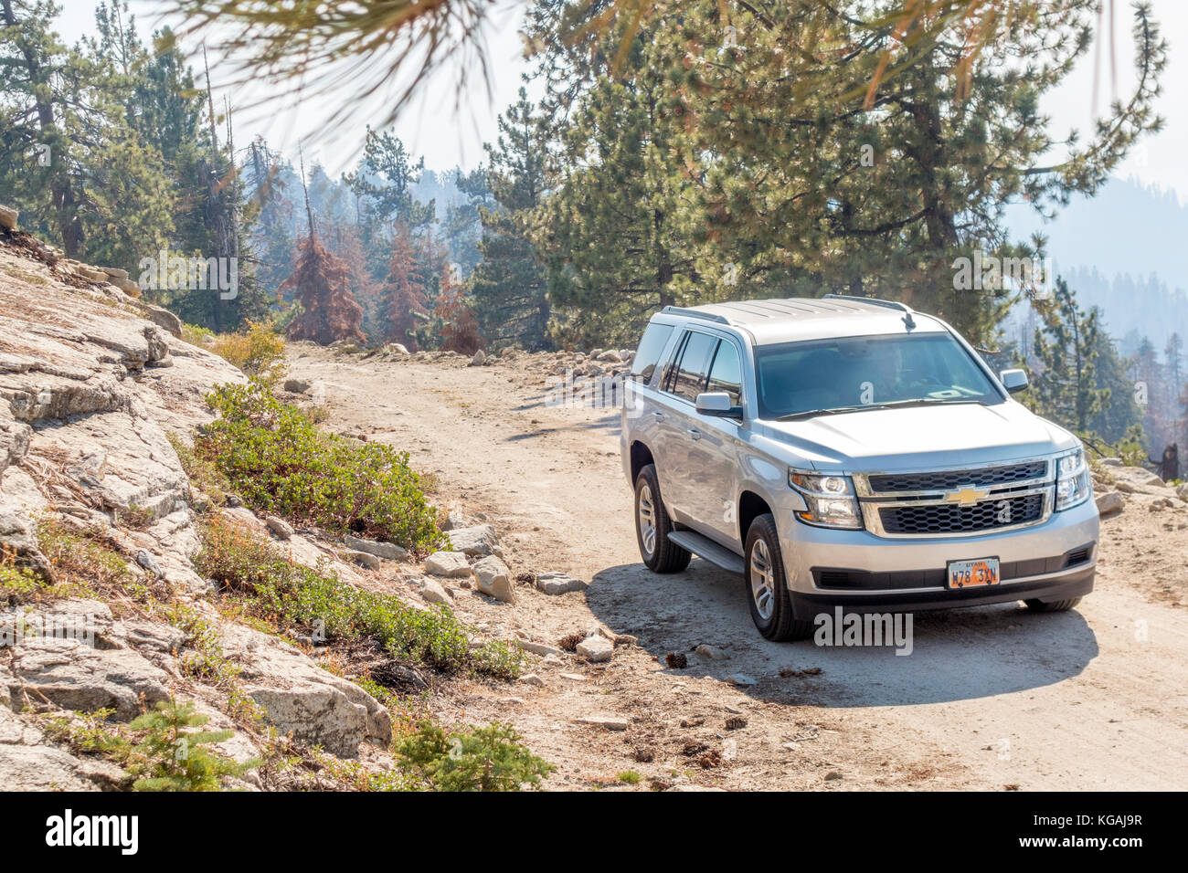 Big SUV Cadillac Escalade VUS pleine grandeur tout nouveau 2018 Chevy Tahoe LT sur chemin de terre dans les montagnes de la Forêt Nationale de Sequoia Banque D'Images