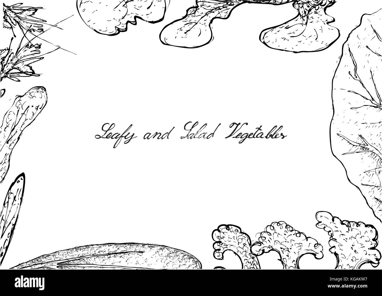 Salade de légumes, illustration Cadre de part croquis de délicieux produits frais et légumes verts à feuilles de salade isolé sur fond blanc. Illustration de Vecteur