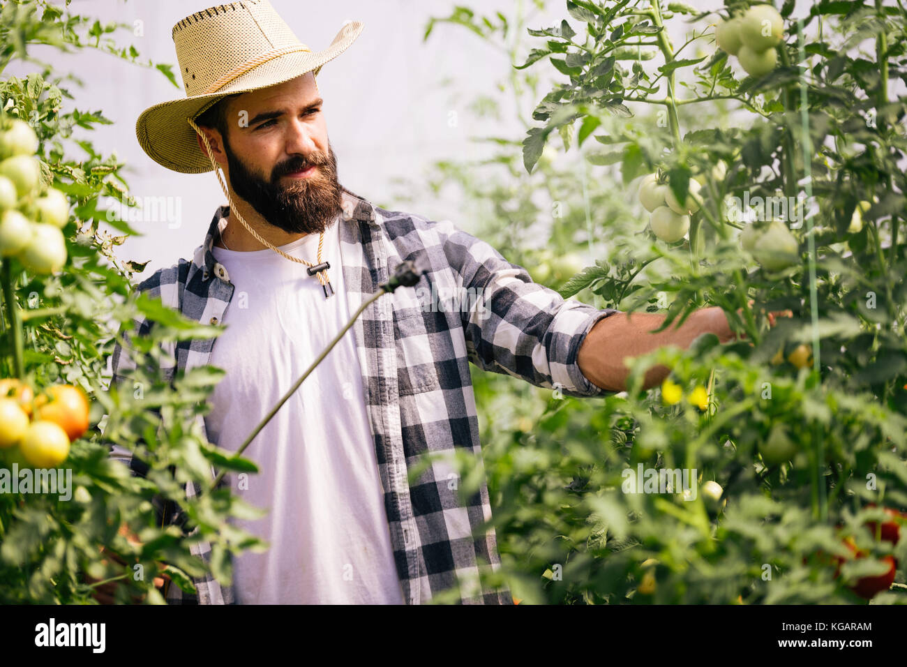 Jeune agriculteur protéger ses plantes avec des produits chimiques Banque D'Images
