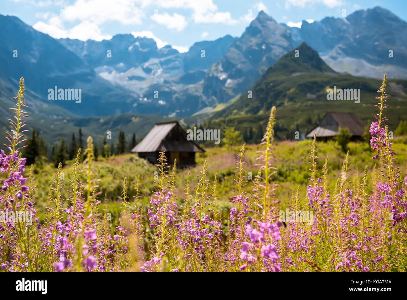 Hala Gąsienicowa, Tatras Zakopane Pologne Banque D'Images