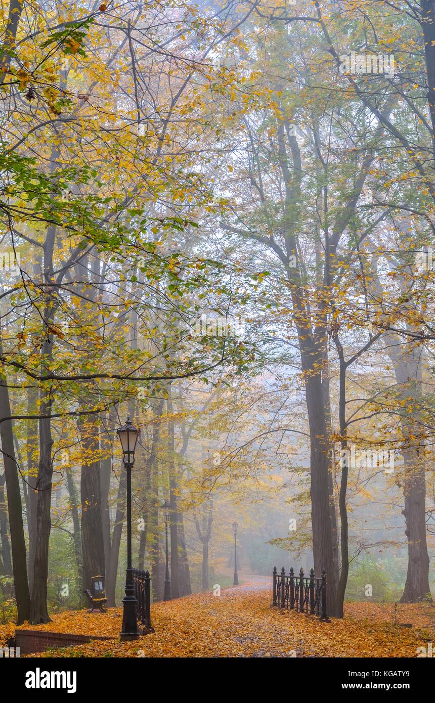 Beau paysage d'automne avec passerelle. feuilles colorées d'automne dans le parc. Banque D'Images