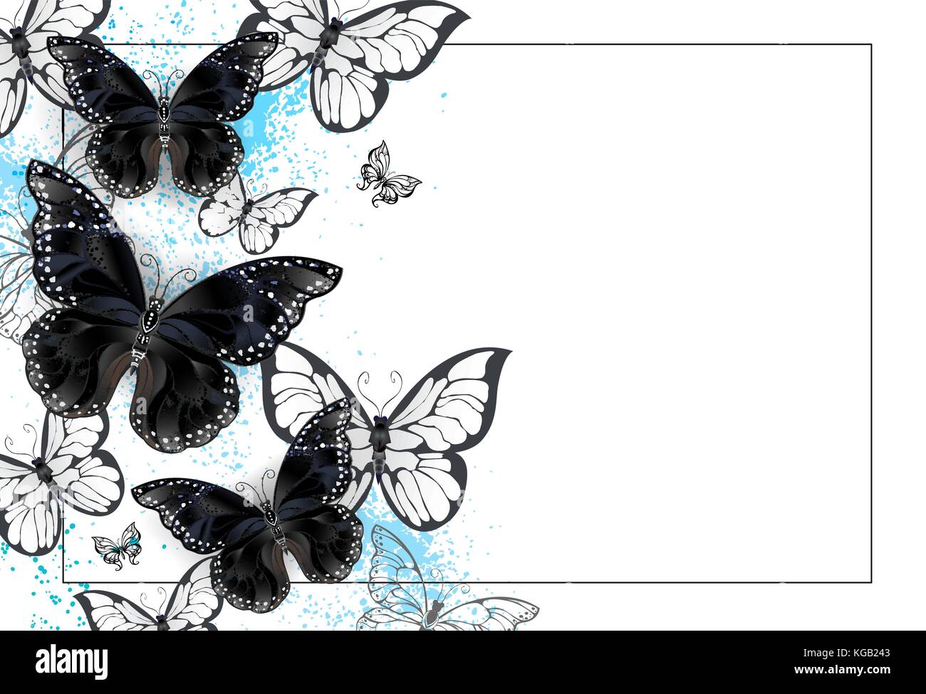 Fond blanc avec des papillons en noir et blanc sur un fond de peinture bleu blanc. design avec papillons. black butterfly. Illustration de Vecteur