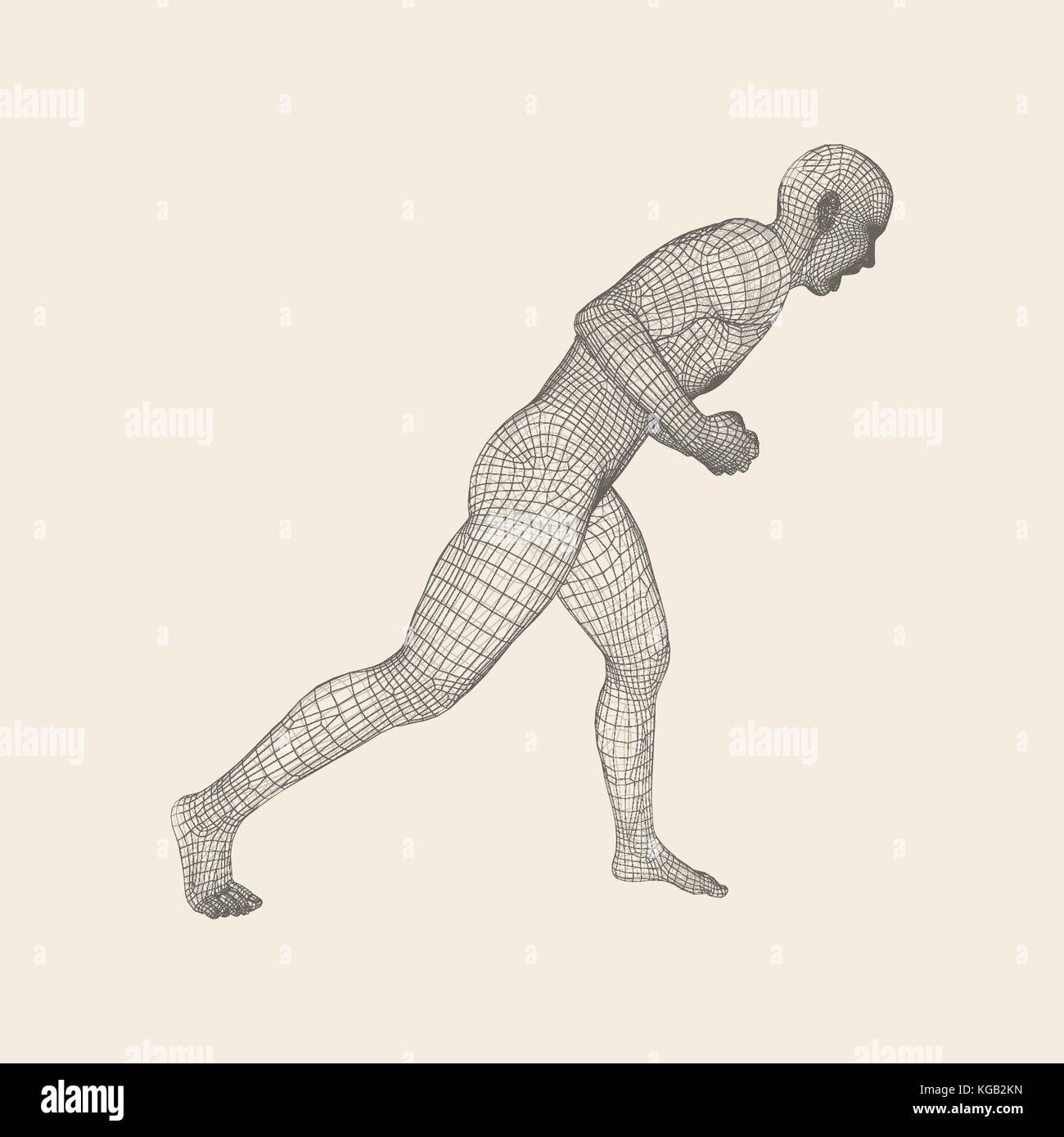 Fighter. fitness sports. arts martiaux. modèle 3d de l'homme. corps humain. sports symbol. élément de conception. grid vector illustration. Illustration de Vecteur