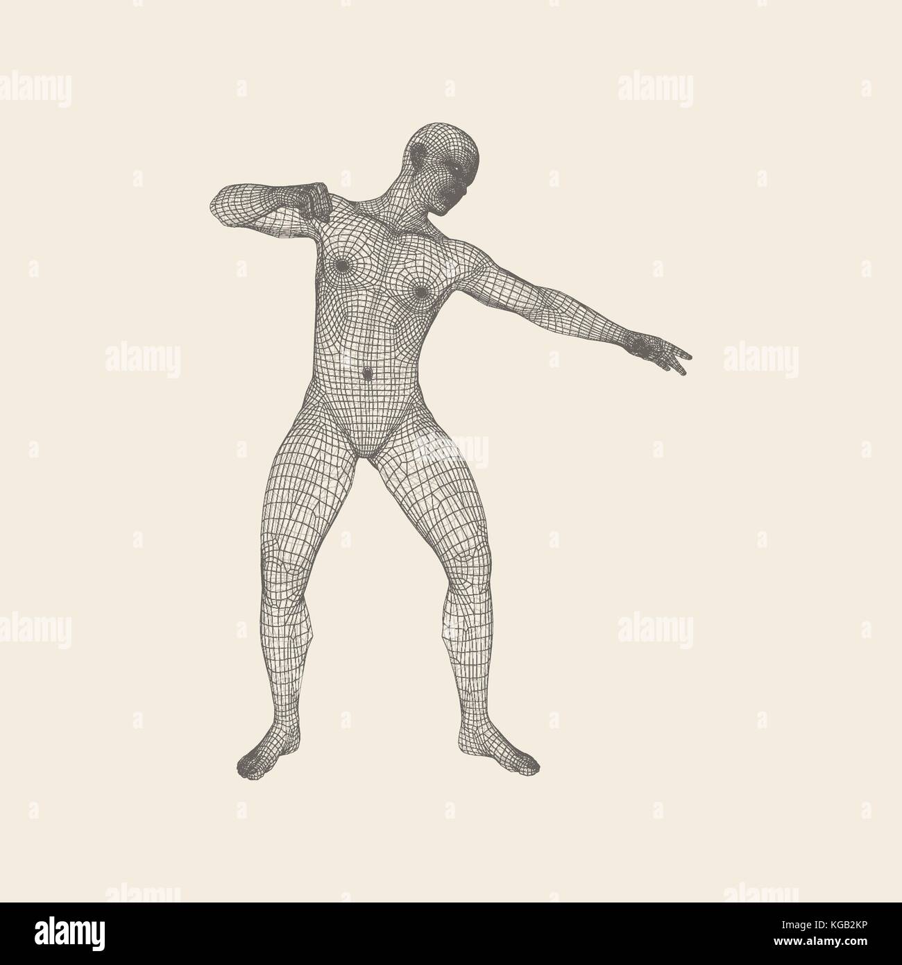 Fighter. fitness sports. arts martiaux. modèle 3d de l'homme. corps humain. sports symbol. élément de conception. grid vector illustration. Illustration de Vecteur