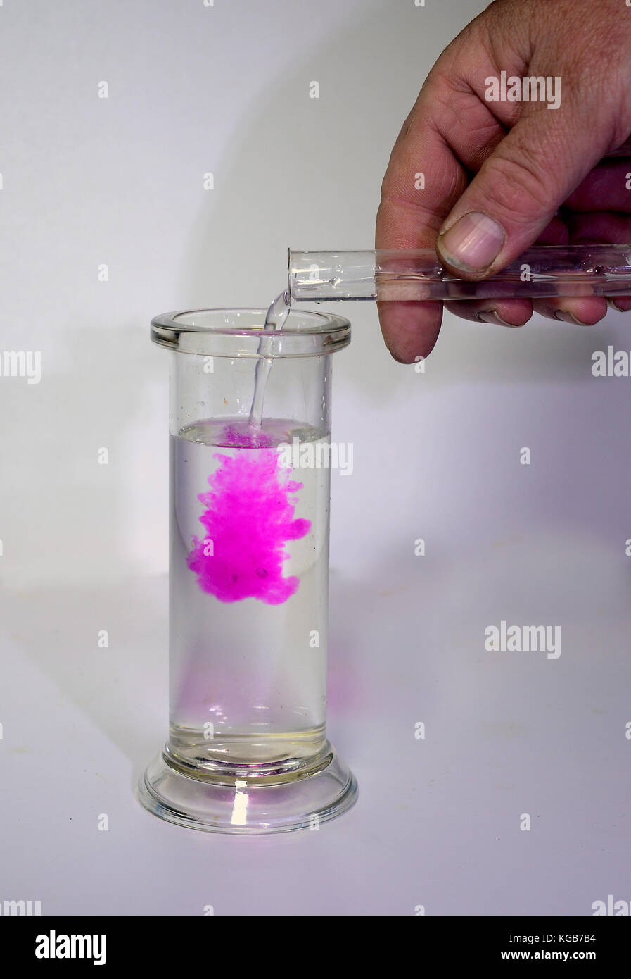 Deux liquides clairs, un alcalin, un phénolphtaléine, sont mélangés et deviennent rouge pourpre. Banque D'Images