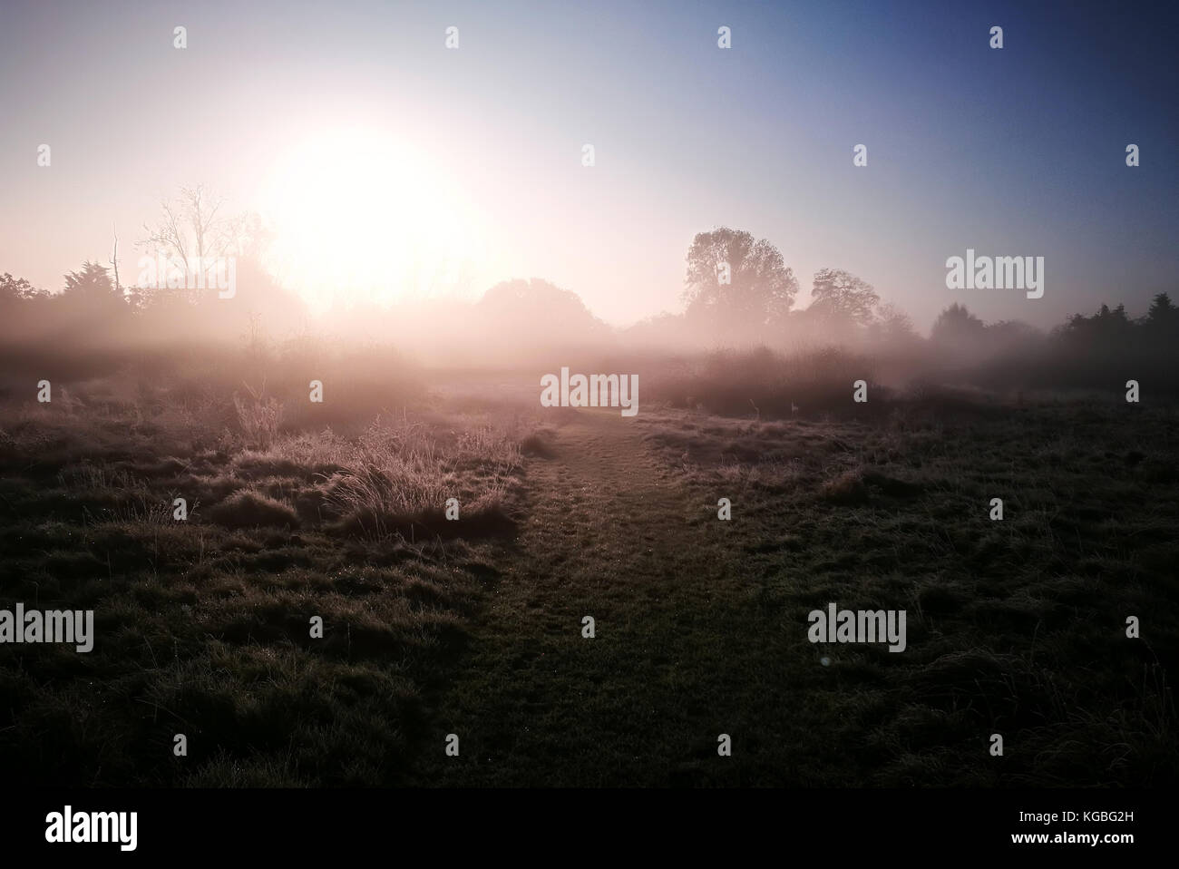 Rainham, UK. 6 novembre, 2017. Traces de pas dans la brume du matin et le gel. Rainham. Angleterre, Royaume-Uni. 08Th Nov, 2017. Credit : Sport en images/Alamy Live News Banque D'Images