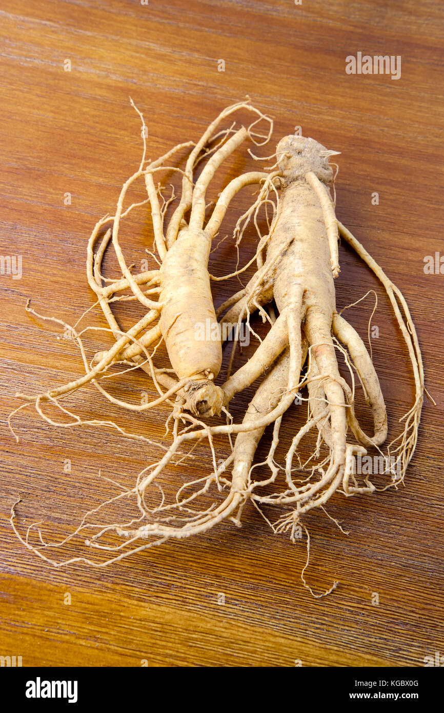 Korean Ginseng frais sur fond de bois Banque D'Images