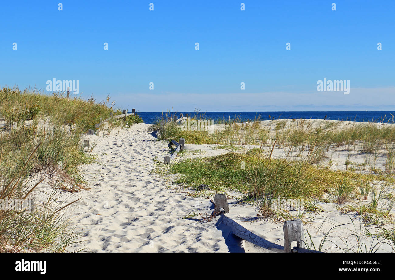 Un classique en bois patiné des clôtures la voie vers la mer et à travers les nombreuses dunes vierges de cette plage de la côte du New Jersey Banque D'Images