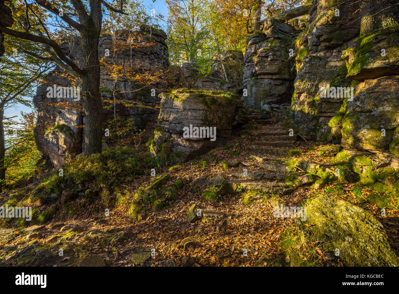 Promenade d'automne entre les rochers, le rocher de Battert au-dessus de la ville thermale de Baden-Baden, à la périphérie de la Forêt Noire, Allemagne Banque D'Images