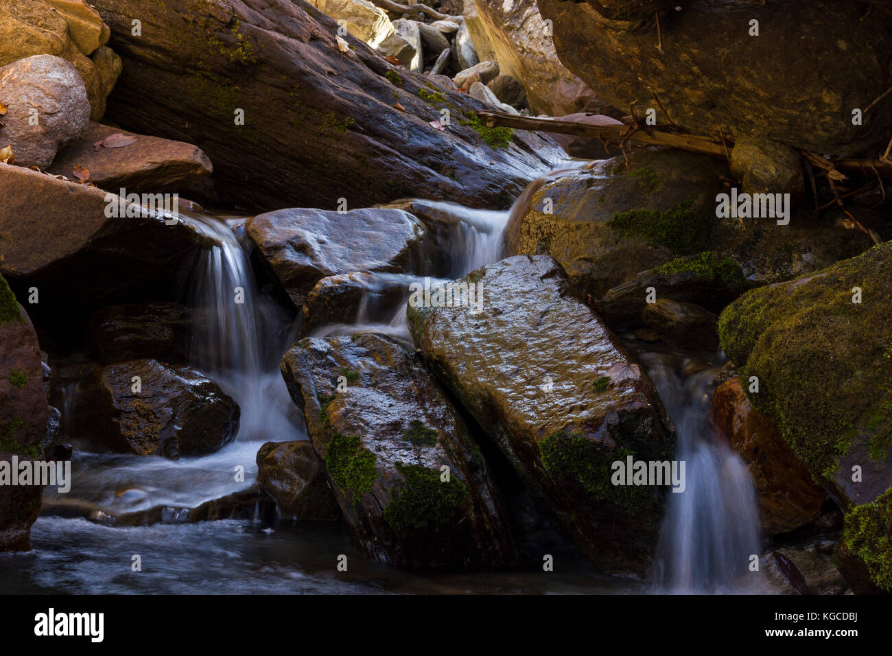 Au cours de l'eau courante de trek chopta à deoria tal, Uttarakhand Banque D'Images