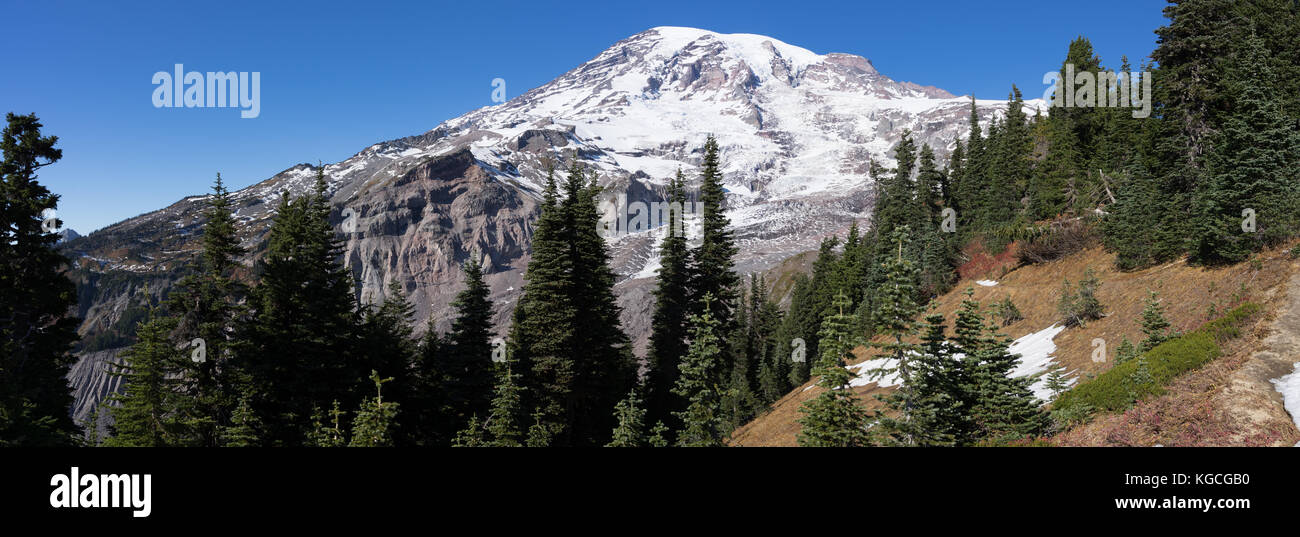 Mt Rainier, vu de l'aire de loisirs paradis Banque D'Images