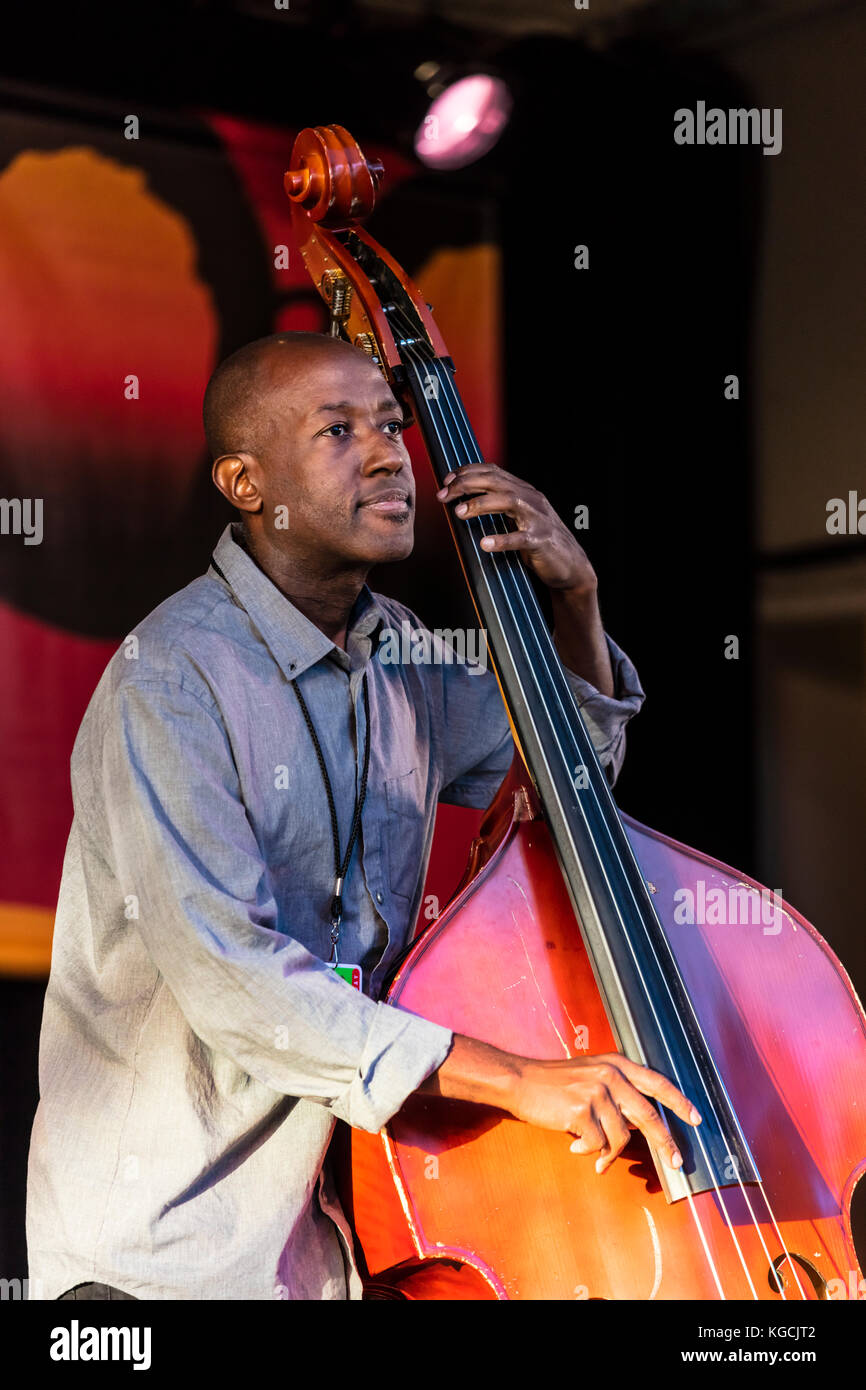 Kevin Hamilton joue debout pour base tanky ranky - 60e festival de jazz de  Monterey, Californie Photo Stock - Alamy