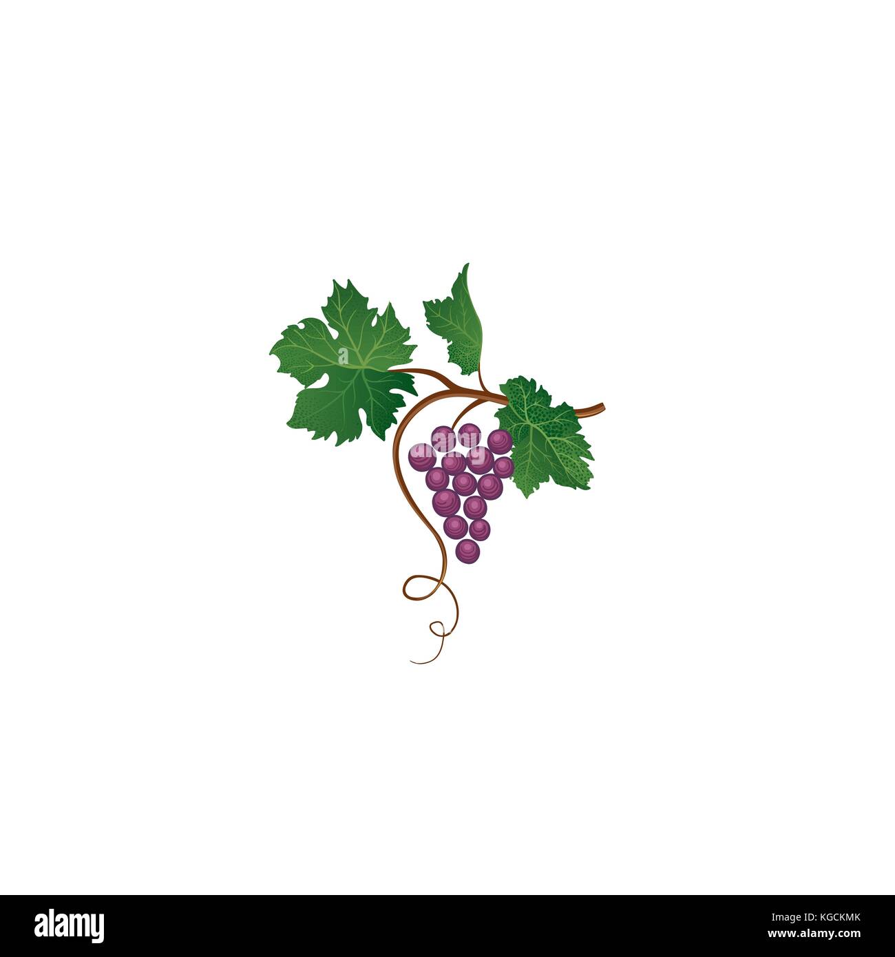 La direction générale de raisin vigne signe rétro floral.. Jardin contexte. vinification icon Illustration de Vecteur