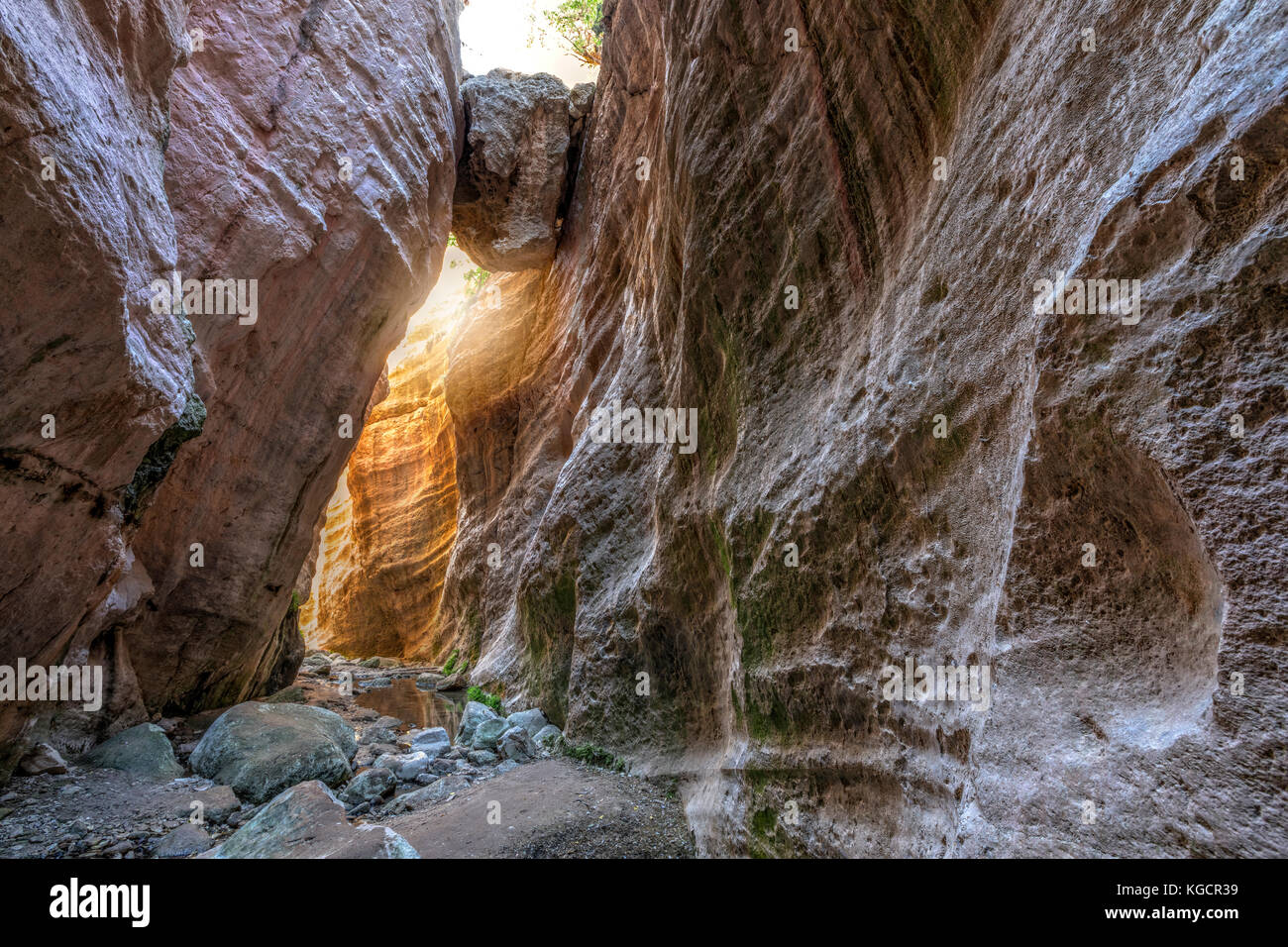 Gorge d'Avakas, Akamas, Paphos, Chypre Banque D'Images