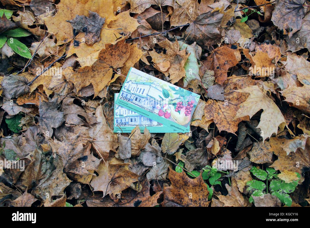 Deux billets pour le musée dans la succession de Léon Tolstoï à Iasnaïa Poliana contre l'arrière-plan de feuilles tombées dans le parc en octobre 2017. Banque D'Images