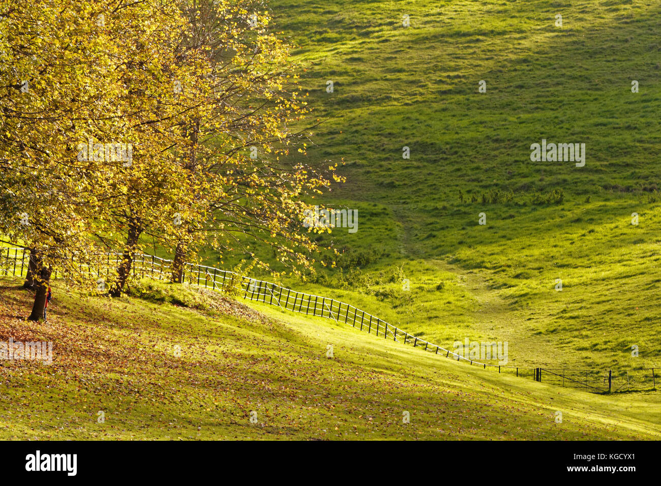 Paysage d'automne ; Angleterre ; Somerset Banque D'Images