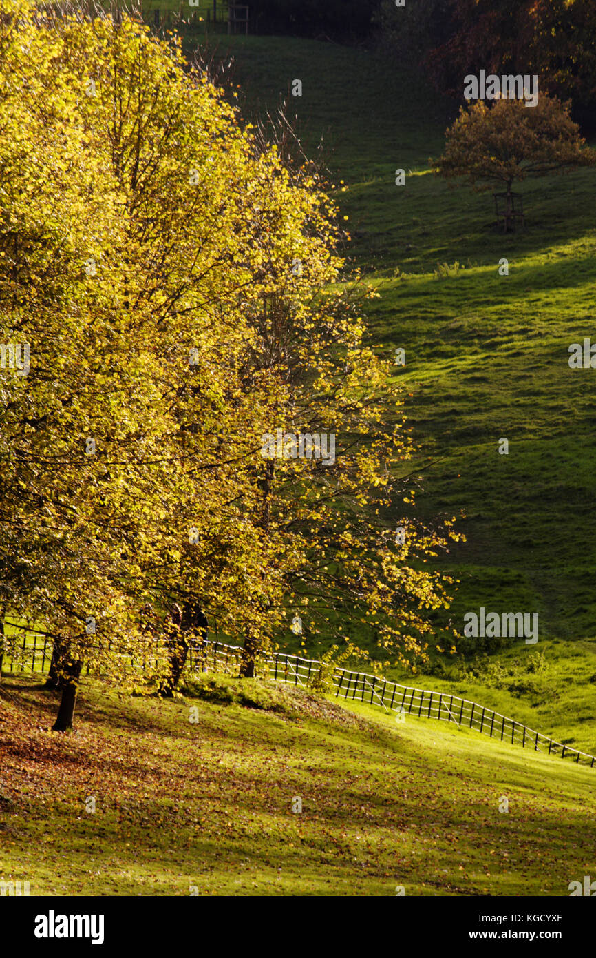 Paysage d'automne ; Angleterre ; Somerset Banque D'Images