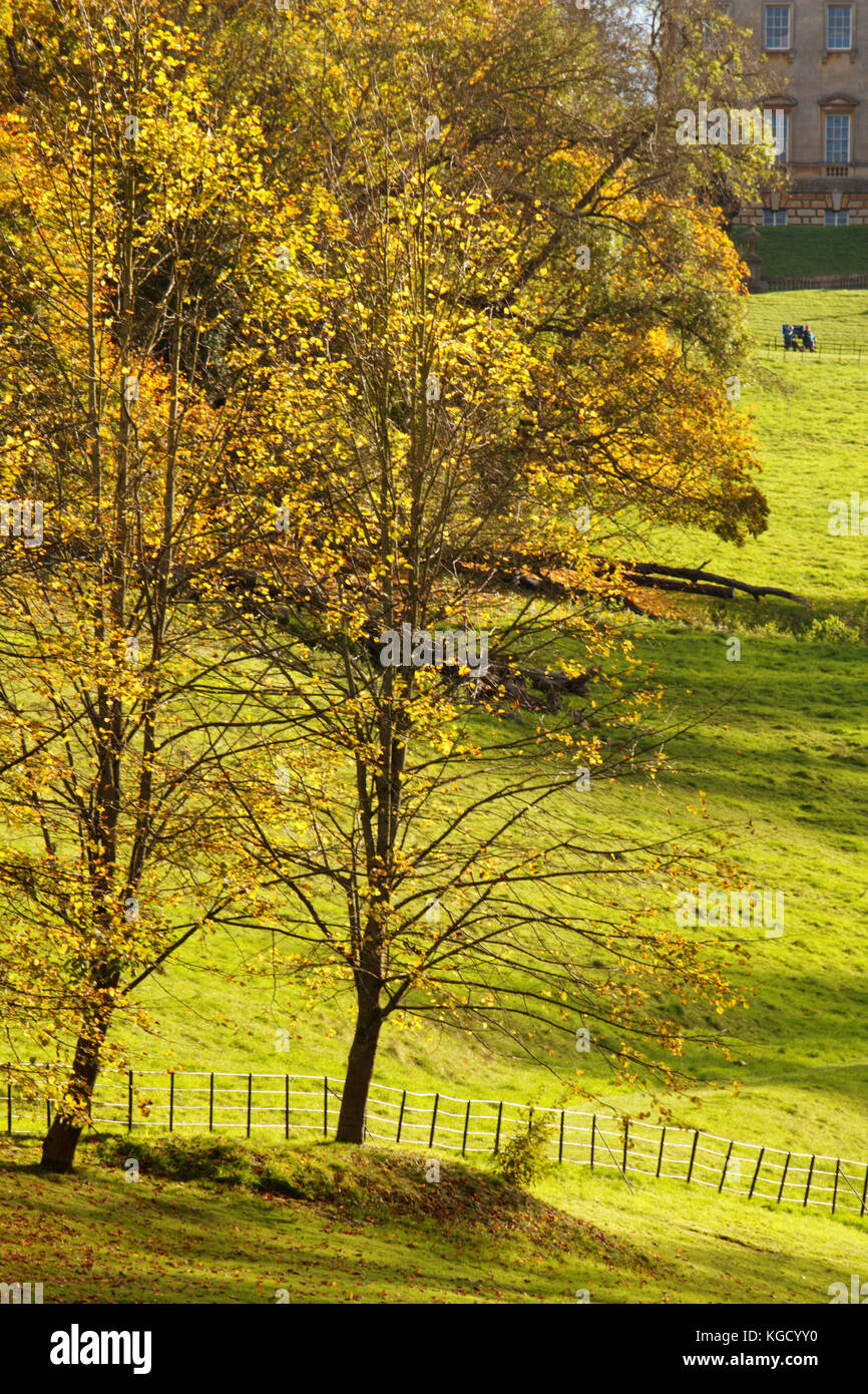 Paysage d'automne ; Angleterre ; Somerset Banque D'Images