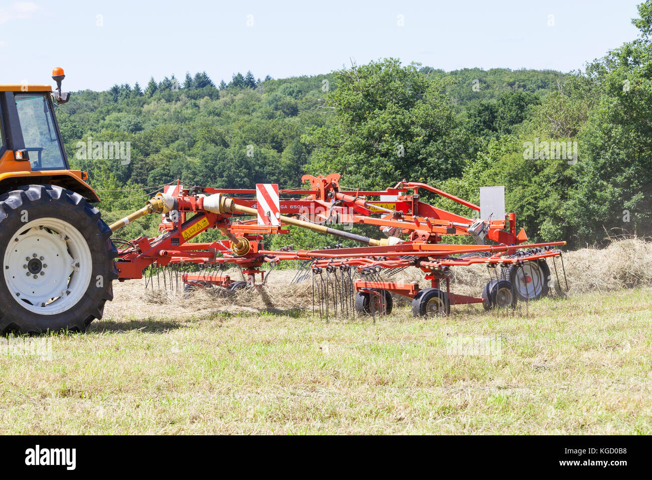 À l'aide d'un cultivateur Kuhn GA 6501 agricutlural rotatif râteau pour ratisser l'herbe sèche en lignes pour le pressage de l'hiver pour fournir l'alimentation du bétail, Close up régulièrement l Banque D'Images