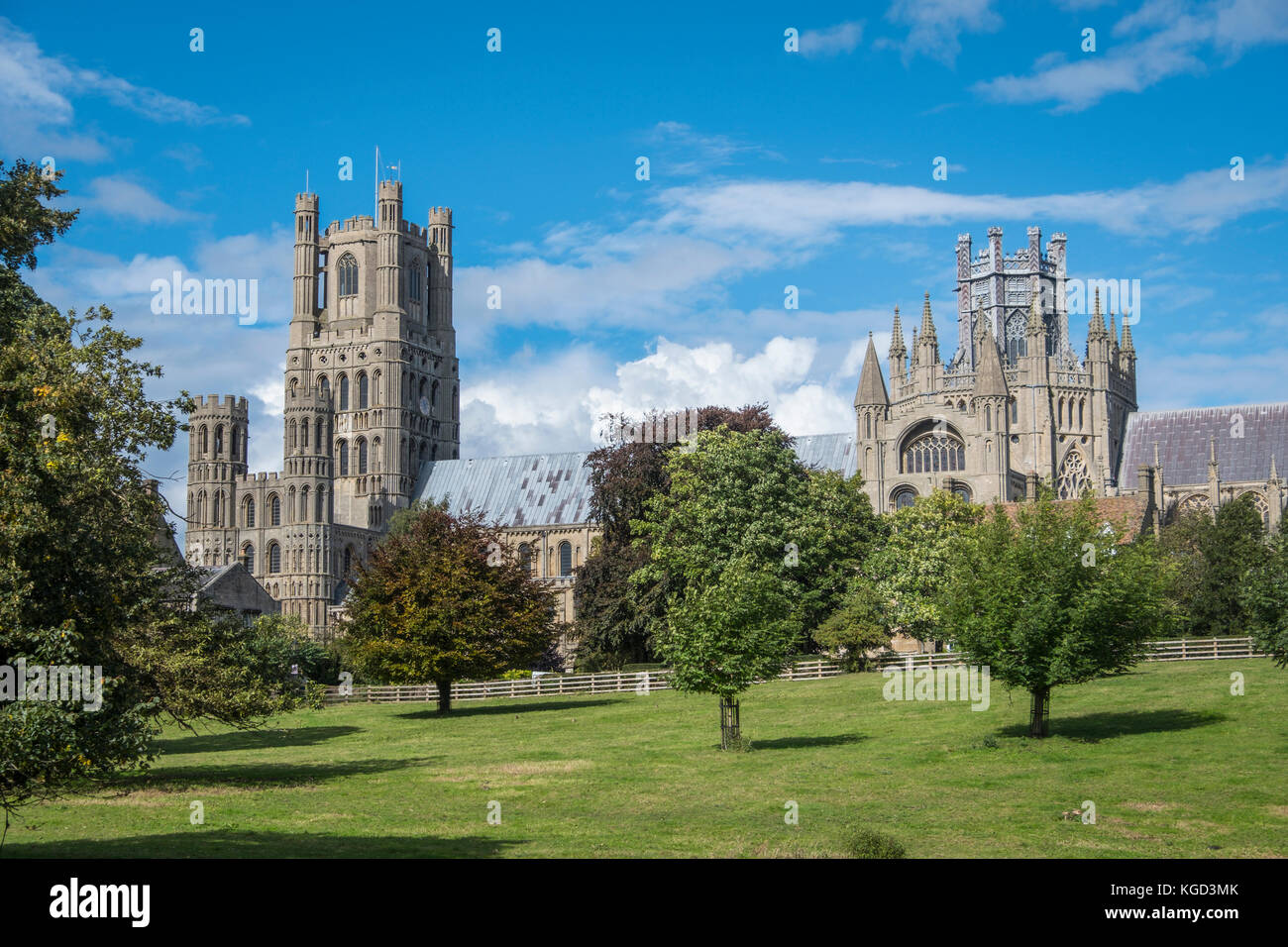 Cathédrale d'Ely vu de Cherry Hill Park. Banque D'Images