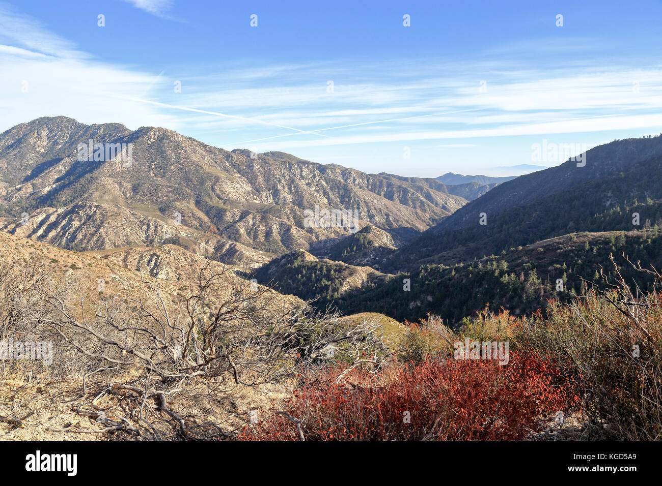 Une vue sur la forêt nationale d'Angeles situé à San Gabriel mountains le long de la route 2. Banque D'Images