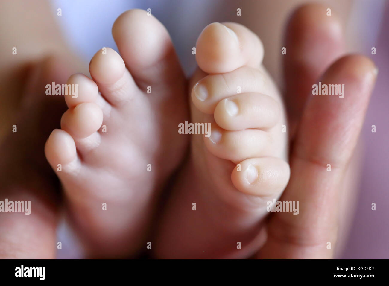 Close-up image de pieds de l'enfant tenu par des mains Banque D'Images