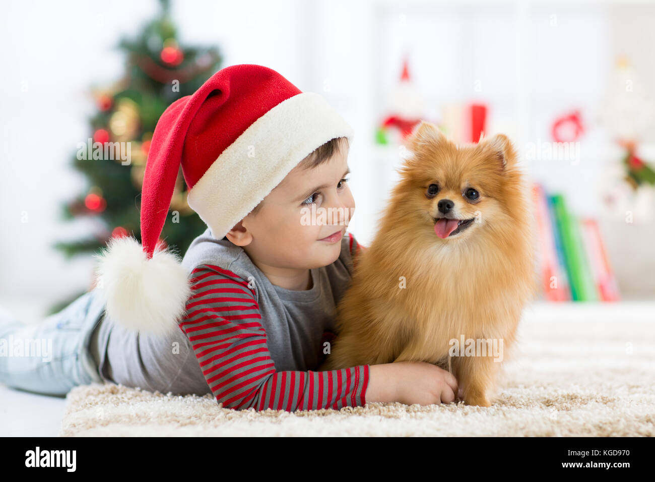 Faire place au petit garçon chien chiot à Noël, nouvel an arrière-plan. Banque D'Images