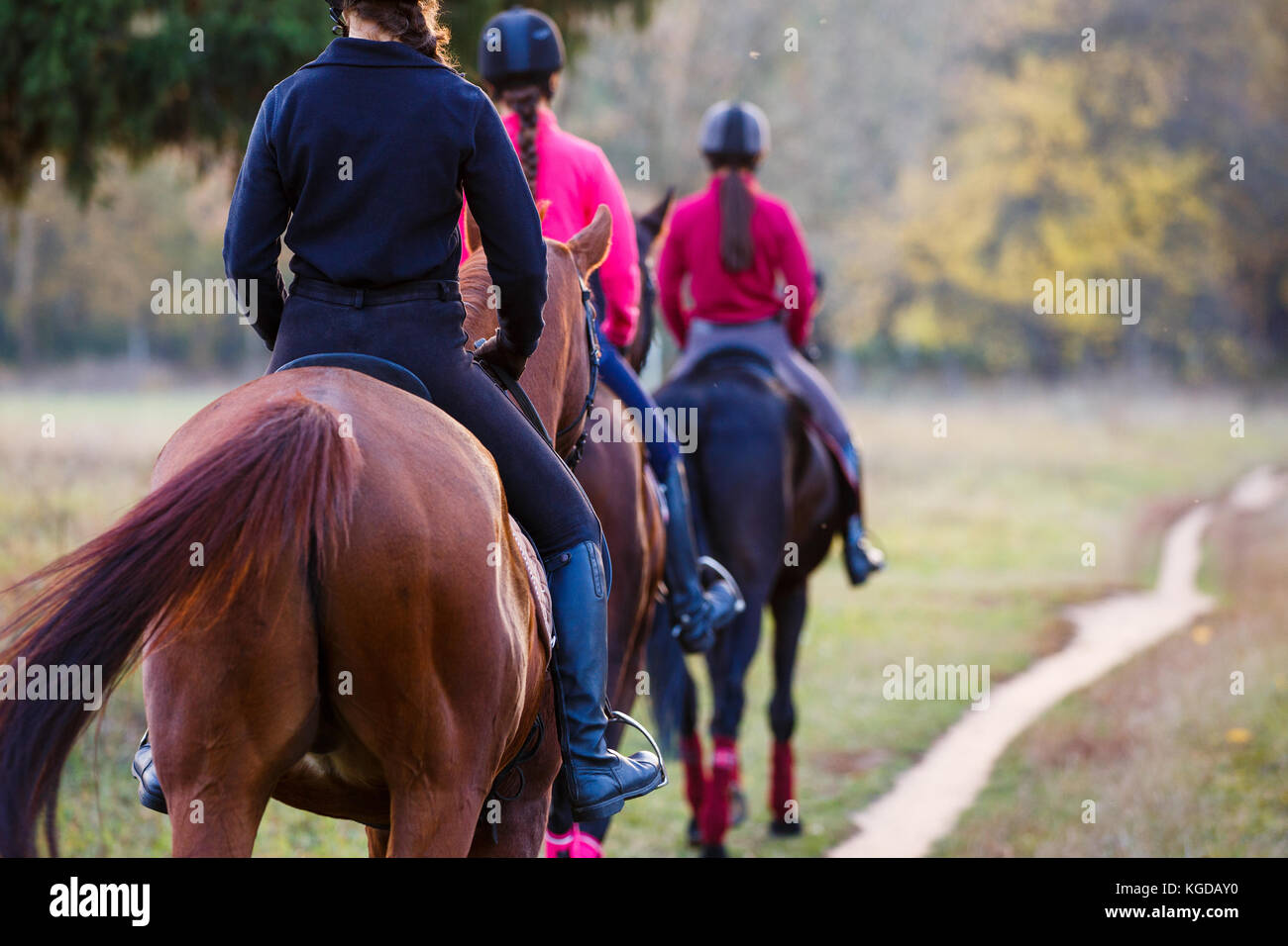 Groupe d'adolescentes de l'équitation en automne parc. sport équestre background with copy space Banque D'Images