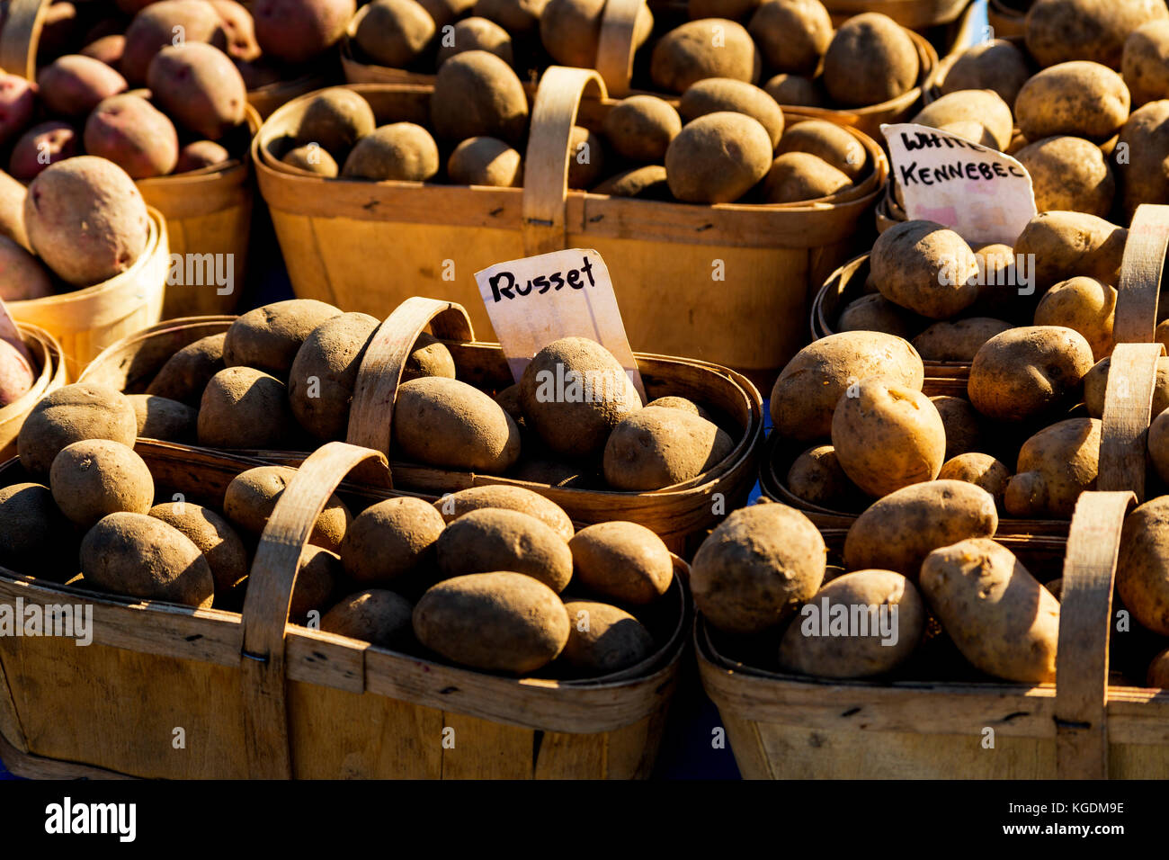 Nouvelles pommes de terre Russet à vendre sur le stand du marché. Marché St. Jacobs Ontario Canada Banque D'Images