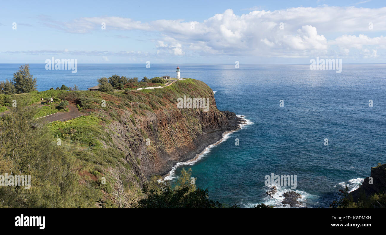 Point phare de Kilauea Kauai Hawaii d'oiseaux marins. Garden Isle. Construit en 1912 pour la marine et de la navigation aérienne phare et repère. La faune nationale. Banque D'Images