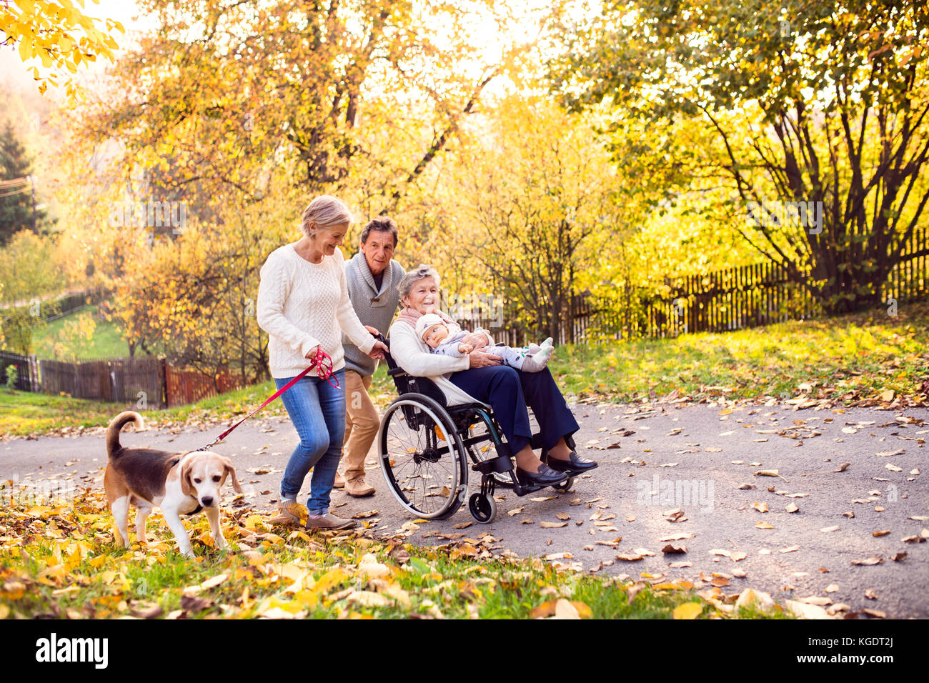 Famille élargie avec chien sur une promenade en automne la nature. Banque D'Images